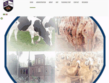 Tablet Screenshot of ispae.uofk.edu
